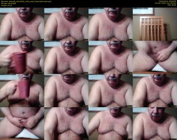 tbear66