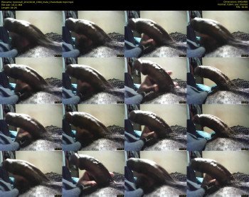 tyroneall