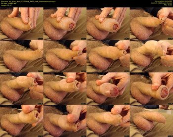 big_bums_4me