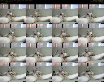 egyptian_cock
