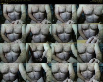 furrybear2