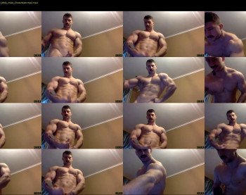 panda_muscle