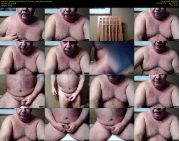 tbear66