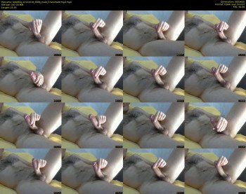 teddibig