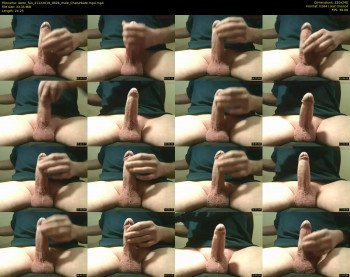 webc_fan