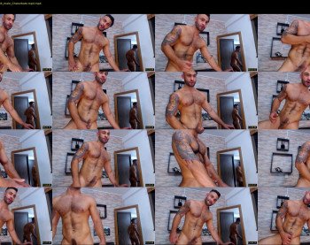 apolo_fox