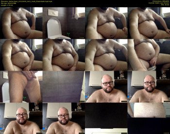 italian_bear
