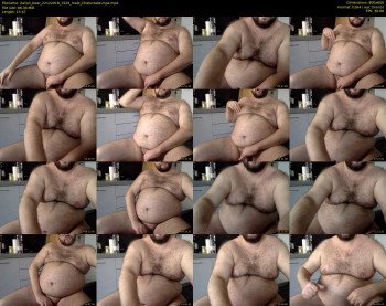 italian_bear