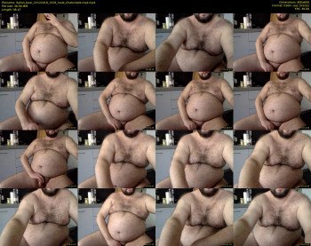 italian_bear