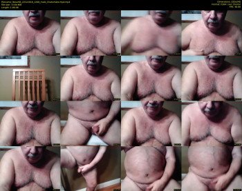 tbear66