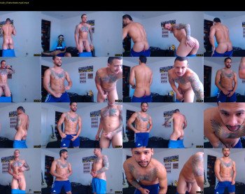 fit_owl