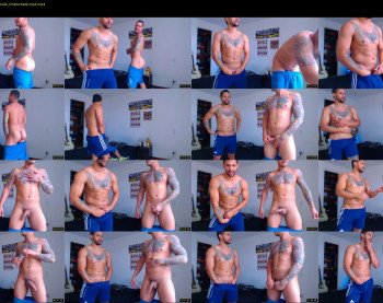 fit_owl