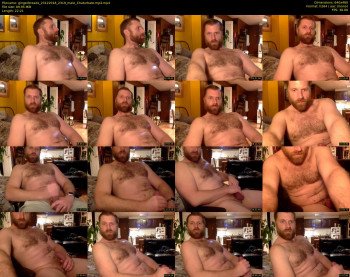gingerbreadx