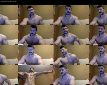 panda_muscle