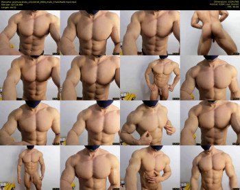 promuscles4u