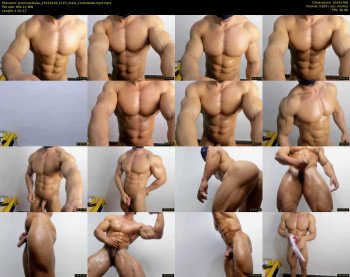 promuscles4u
