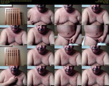 tbear66