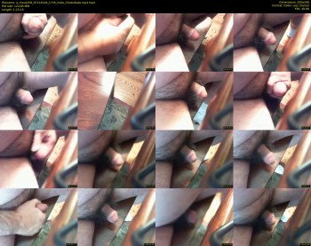a_mous258