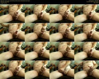bare_bear