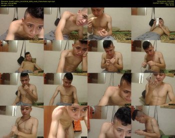 bradd_collins