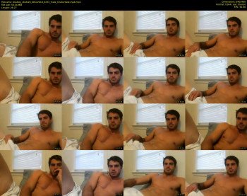 bradley_studs28