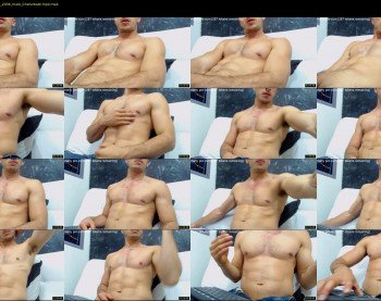 damiann_fox3