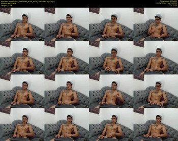 enzoferlucy