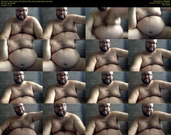 italian_bear