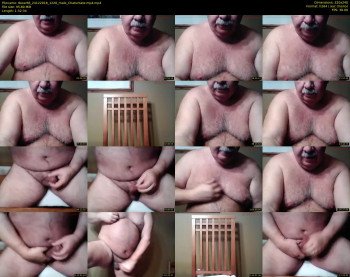 tbear66