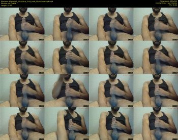 bigbicho7
