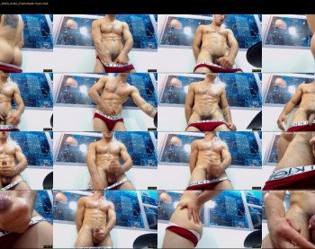 damiann_fox3