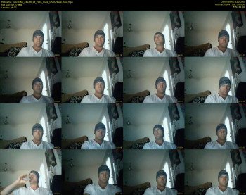 fupc3366
