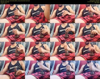 tintin_123