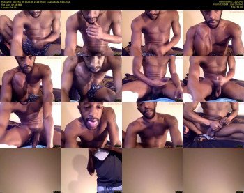 bbc256
