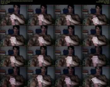 dalfox_94