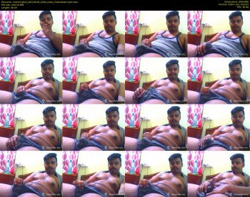 mehornybull