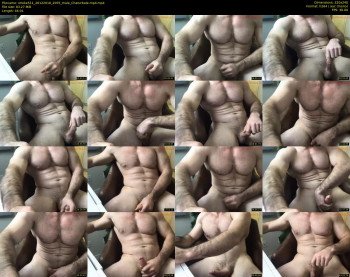 stroke511