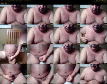 tbear66