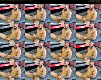 alphamatteo