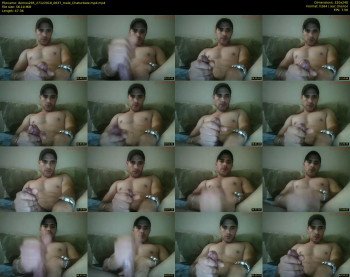 demos295