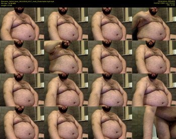 italian_bear