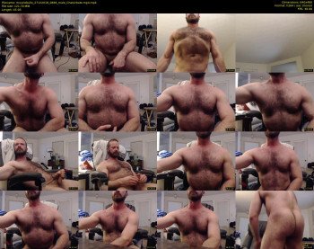 musclebullx