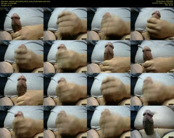slaphot
