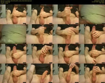 uk_stallion
