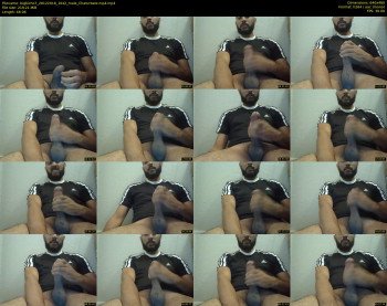 bigbicho7