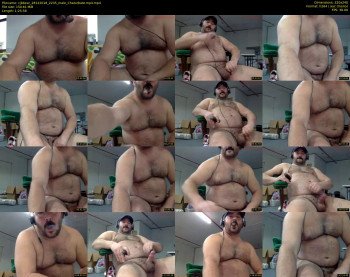 cjbbear