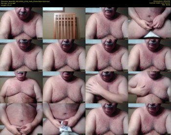 tbear66