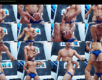damiann_fox3