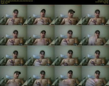 demos295