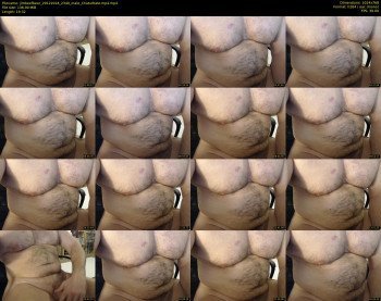 jimbeefbear